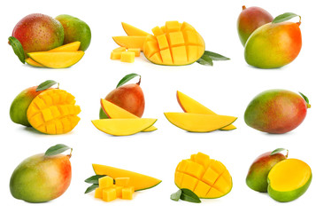 Collage with tasty mango fruit on white background - obrazy, fototapety, plakaty