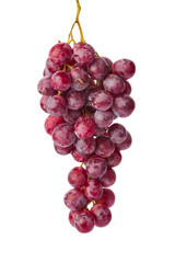 Ripe grapes