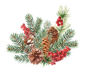 Hand drawn watercolor winter botanical bouquet, Christmas season illustration isolated on white background.