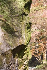 山中の岩