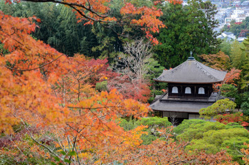 Fototapeta na wymiar Beautiful fall colors in Ginkaku-ji Silver Pavilion during the autumn season in Kyoto