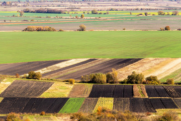 Fototapeta premium rural landscape with different fields