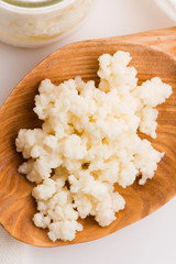 Milk kefir grains in spoon. Yeast bacterial fermentation starter