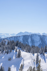 verschneite Berge und Wälder im Winter