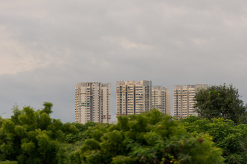 Fototapeta na wymiar Skyscrapers behind line of trees with cloudy sky in Chennai, former Madras, in South India