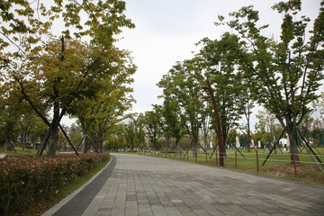 Fototapeta na wymiar A leisurely park promenade. Busan citizens park.