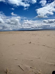 река Обь Сибирь Обское водохранилище весна