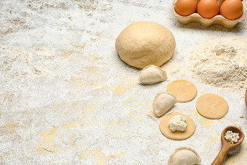 Raw dough and dumplings with ingredients on white background