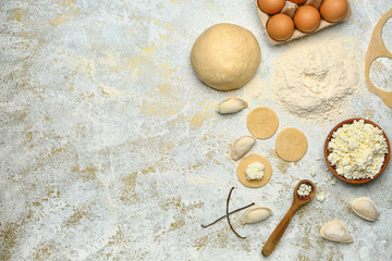 Raw dough and dumplings with ingredients on white background