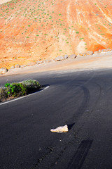 Zapatilla abandonada en una carretera solitaria con montaña en segundo plano