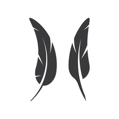 Feathers icon Vector Illustration design Logo