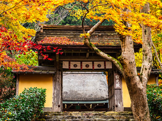 秋の京都　寂光院