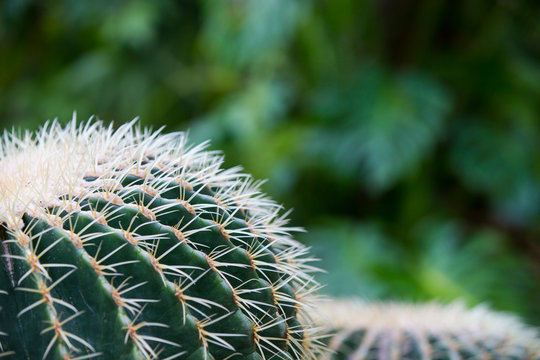 「Hildm」の写真素材 | 138件の無料イラスト画像 | Adobe Stock