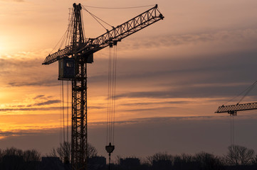 Silhouette of two cranes against the background of the dawn sky