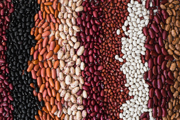 Different varieties of bean seeds. Beans background. - 311318487