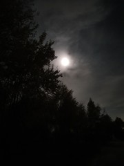 moon in the sky