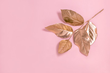 Golden pink branch with leaves
