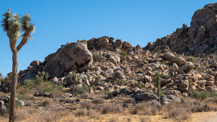 desert, stones at Johsua tree, california