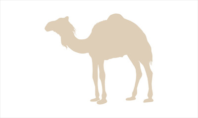 Camel icon flat style vector design.