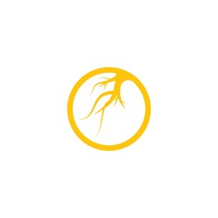 ginseng logo vector