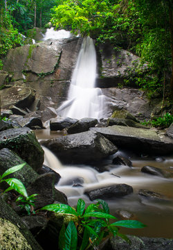 waterfall in forest