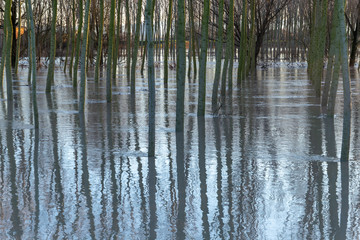 flood overflowing rivers hydrological failure modena italy