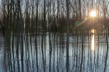 flood overflowing rivers hydrological failure modena italy