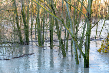 flood overflowing rivers hydrological failure modena italy