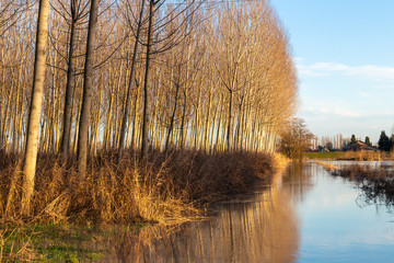 flood overflowing rivers hydrological failure modena italy