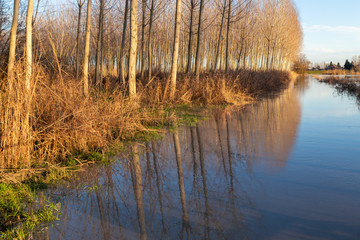 flood overflowing rivers hydrological failure modena italy