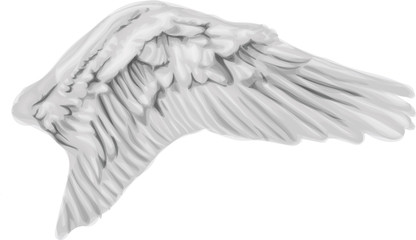 Swan Wing - vector illustration