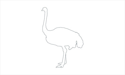 Ostrich icon  flat style simple image vector image