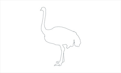 Naklejka premium Ostrich icon for wildlife and animal illustrations