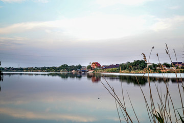 Fototapeta premium A large river with green reeds on the shore. A blue sky with light clouds reflected in the water.
