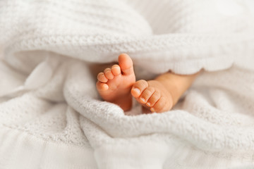Adorable infant feet covered in a white blanket, maternity and babyhood concept