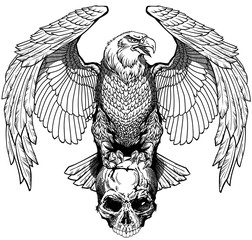 Eagle sitting on the human skull. Black and white Tattoo or shirts design style vector illustration. Front view