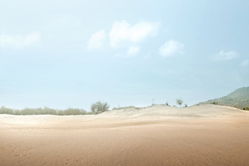 Fototapeta na wymiar Desert with trees and mountains view
