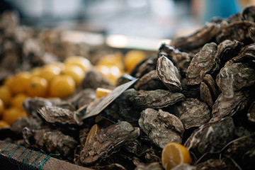 Fresh oysters with lemons at the market.