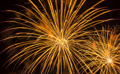 Nice, colorful fireworks abstract in the evening