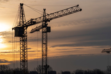 Silhouettes of cranes against the background of dawn