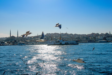 Istanbul, Turkey, 19 January 2014: Seagulls and Cityline Ferry, Bosphorus, Uskudar.