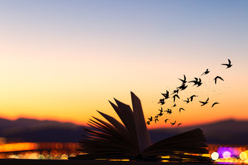 silhouette of a flock of burds burst out og a fantasy book at sunset with the mountains in the...