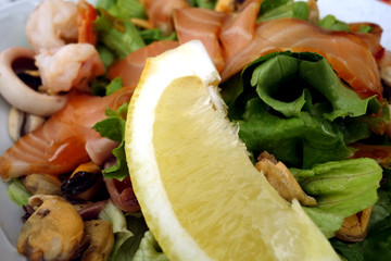 Seafood salad close-up.