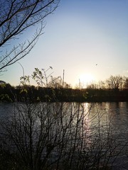 The River Ribble, Preston 