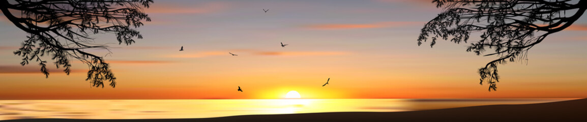 pine tree branches in front of sea sunset and flying gulls
