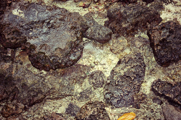 Texture of wet rocks on the seabed at low tide.
