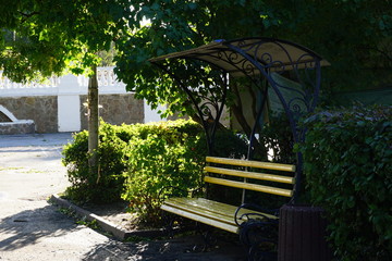 bench for relaxing in the park a lot of greenery