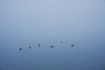 Boat on the lake at morning fog. Foggy autumn