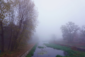 Mist on a lake at dawn with clouds reflected in the calm water. Foggy autumn