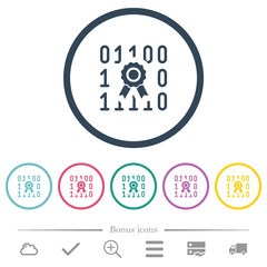 Digital certificate flat color icons in round outlines